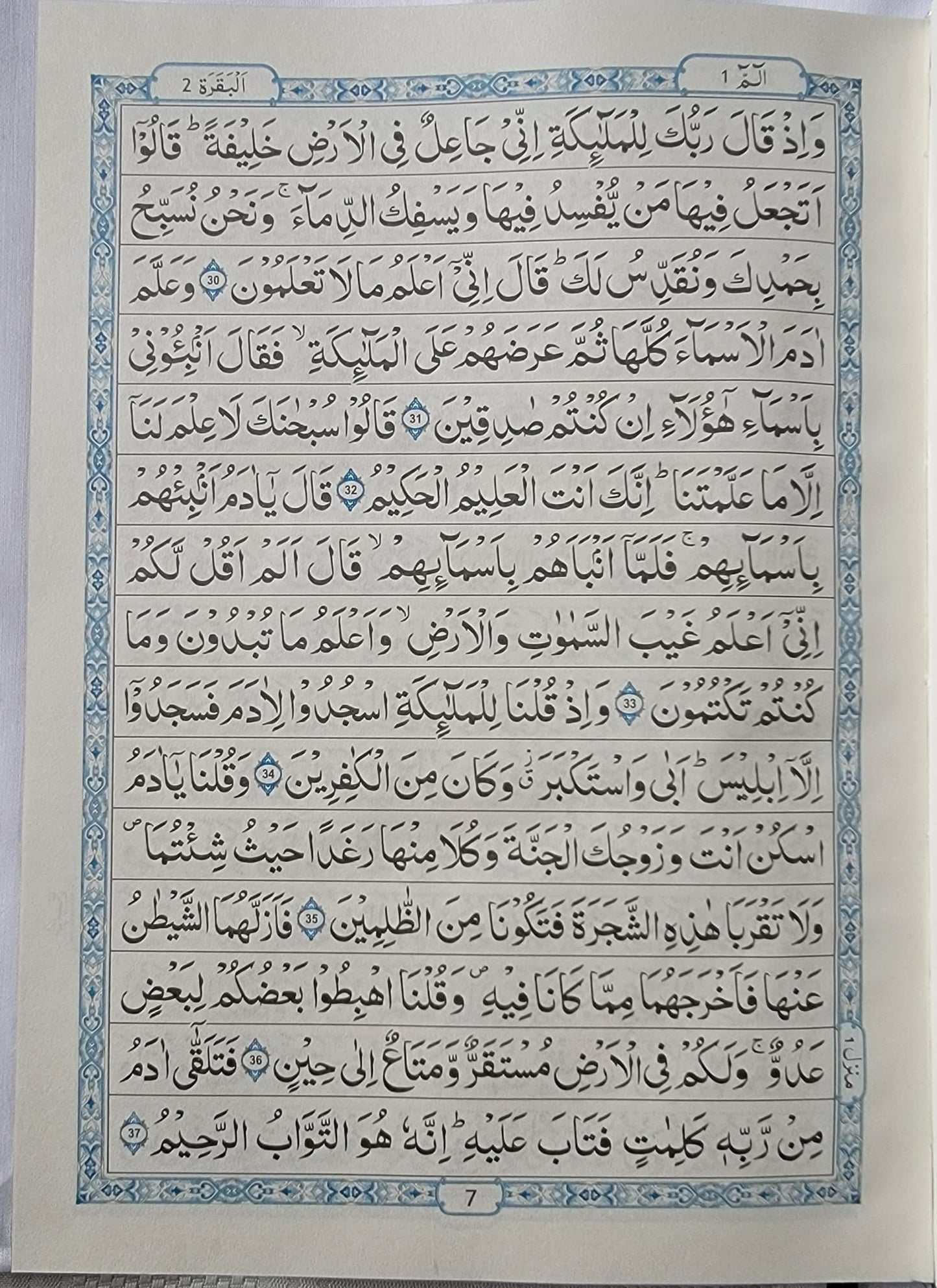 The Holy Quran (Arabic)